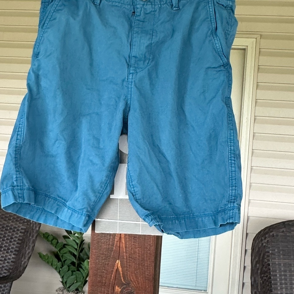 American Eagle Outfitters Men's Teal Shorts